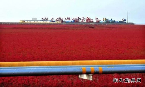 国内石油竟然这么“绿”英皇体育都不知道？