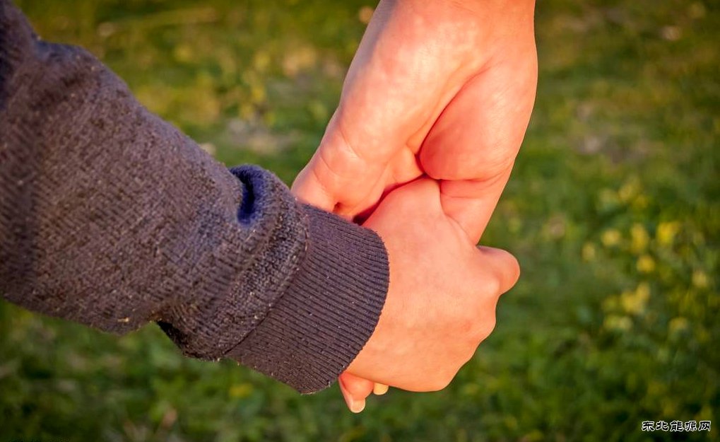 照片里的父母爱情