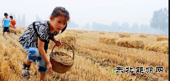 又见麦穗黄--忆童年