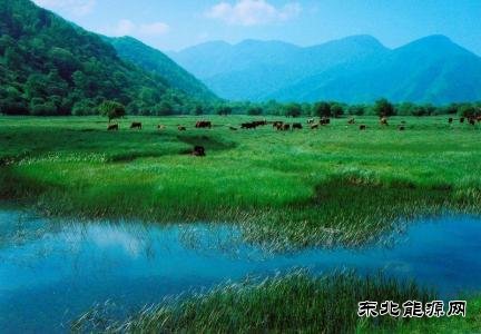 决胜之年，中央政府拿出多少真金白银支持地方治污？