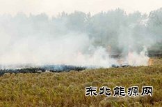 山东启动秋季秸秆禁烧管控