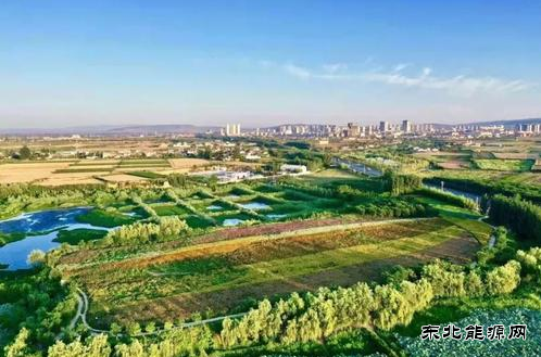 2020年全国生态环境质量持续改善