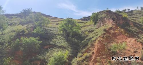 陕煤陕北矿业涌鑫公司：“顺道”回家的路