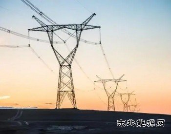 辽宁电力出台20项举措保障电力供应