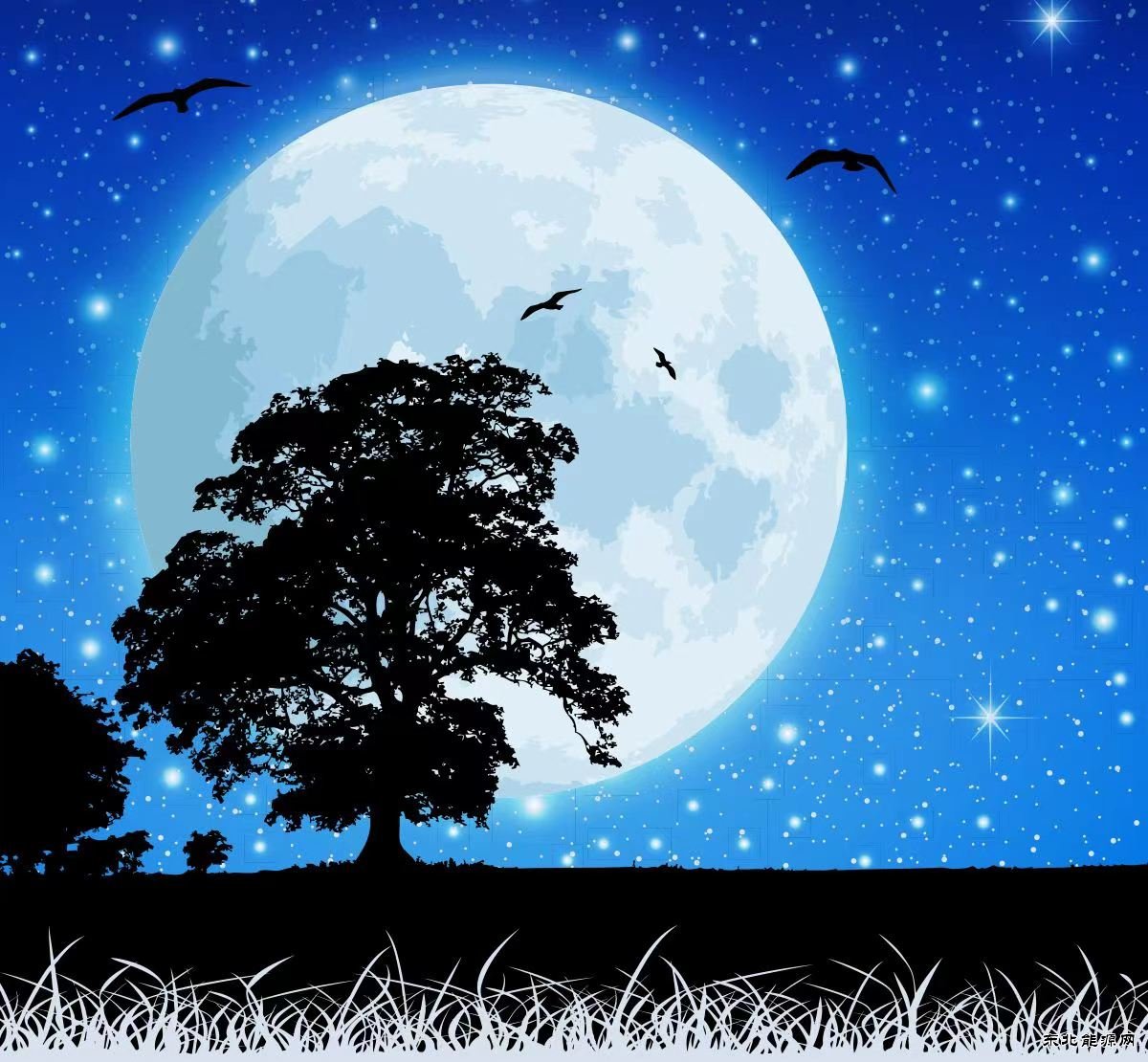 月色无垠