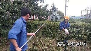 蒲白热电公司：人性化管理显担