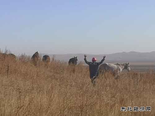 大唐呼伦贝尔英皇体育公司：抗疫36小时