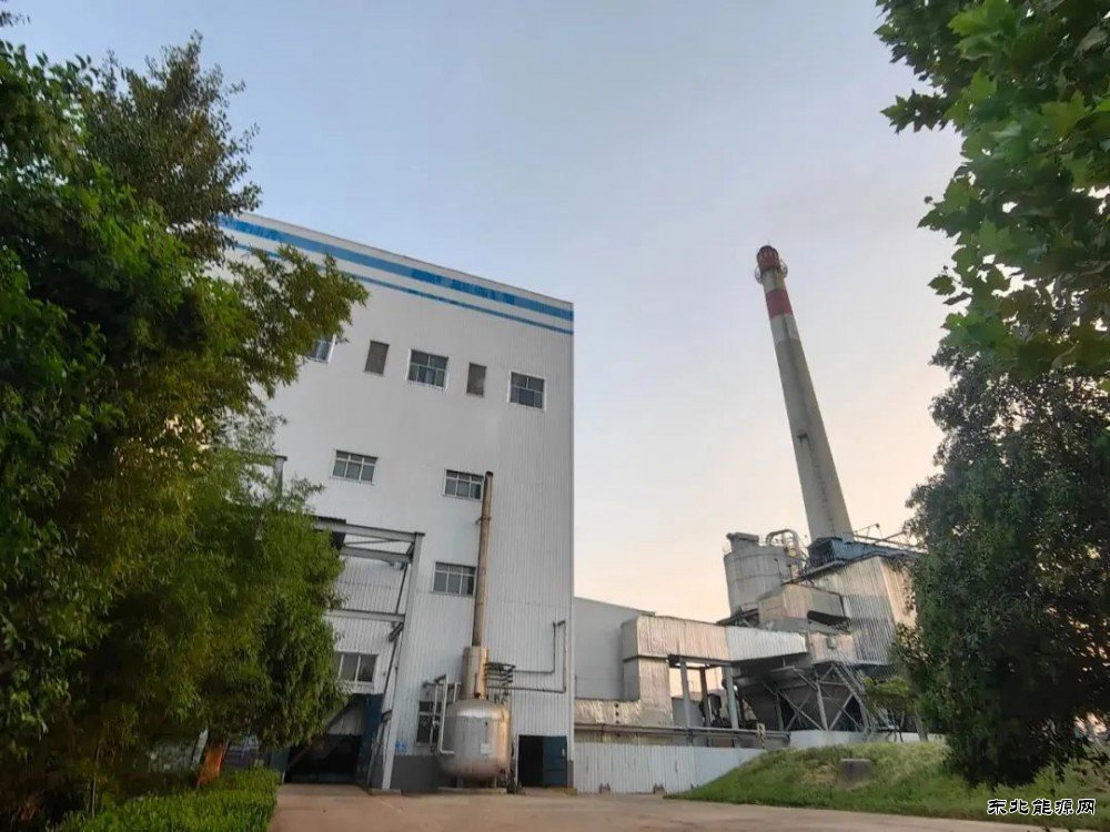 我国首例！生物质发电参与现货交易