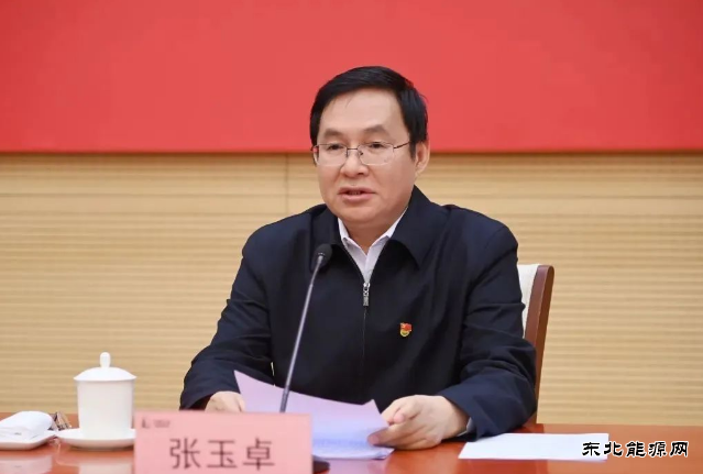 张玉卓：强化国有资本对电网等领域投入