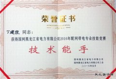 佳木斯供电公司在全省配网带电专业技能竞赛中喜获佳绩