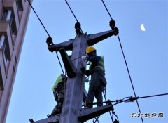 7小时高效完成10千伏胜利线移位并网作业