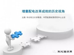 王鹏：配电改革百个试点背后危机四伏