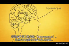 大气污染物能进入大脑 或与老年痴呆症有关