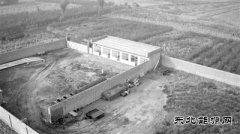 山西“黑柴油”风声一过“群魔乱舞”