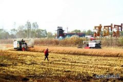 辽河特油公司伴生气“自产自销”实现清洁生产