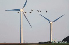 大自然保护协会：风能开发应规避生态脆弱区