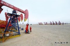 吉林油田新立III区块：井区变“景区”