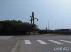 永别了，我的“战友”