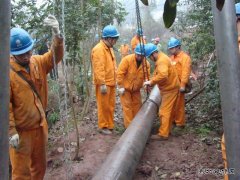 “智能终端”落户宜宾  电力“快车”助推建设