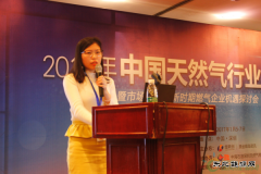 亿海蓝：2016年全球LNG海运贸易量大增9.9%