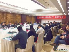 国家光伏数据监测中心“把关”电站质量 已接入13个国家“领跑者