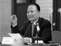 刘汉元：加快光伏产业发展 从根本上破解雾霾之困