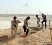 新疆清洁：让风场和戈壁充满绿