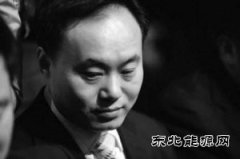 中国光伏“教父”欲华丽回归？