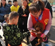 龙唐鸡西：开展关爱自闭症儿童活动