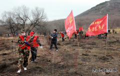 兴凯湖电业局：机关全体人员参加牡丹江管理局义务植树活动