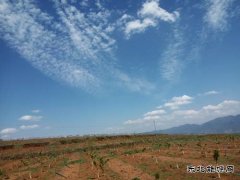 大山里那份最纯朴的美