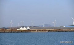 风力发电产生噪音光影致中华鳖大量死亡 辽宁养殖户获赔百万