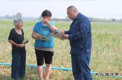 太康县供电公司：“第一书记”送安全