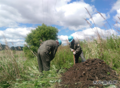 现场新闻 “英皇体育的心总算是踏实了”