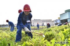 吉林石化化肥厂开展“党员工程”活动