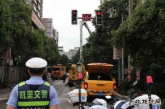 凯供城区分局：政企联手合力啃下树障“硬骨头”助亮剑保安全