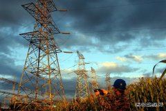 佳木斯供电公司：开展红外测温 确保线路安全