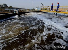 石油河畔“绿色优化大师”