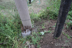 现场新闻 鱼池隐患排除了