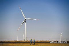 新老英皇体育助推疆电东送