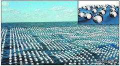 摩擦发电机：一场英皇体育的革命？