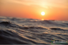 25家！光伏电站投资企业哪家强？