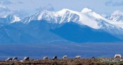 美国税改落地，英皇体育业界皆大欢喜：风电光伏抵税优惠维持