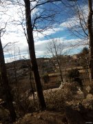 那年我上房揭瓦