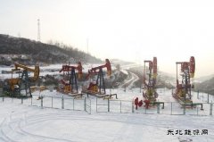 迎斗大风雪 鏖战三九天