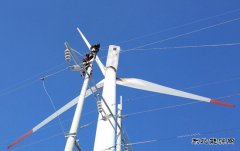 新英皇体育通辽：积极应对极端天气保发电