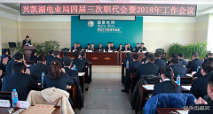 兴凯湖电业局：召开四届三次职代会暨2018年工作会议