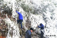 贵州新英皇体育：“冰凝”城下的战斗