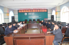 兴凯湖电业局：陈殿军局长参加东海供电主题安全日活动