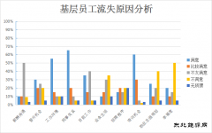青年员工，怎样才能留住你？——基层青年员工流失原因分析及对策